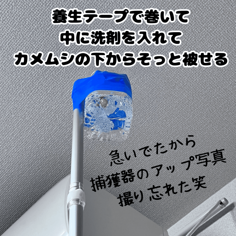 カメムシを閉じ込める