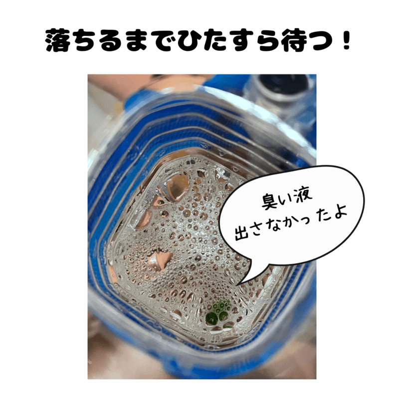 カメムシやっと落ちたの図